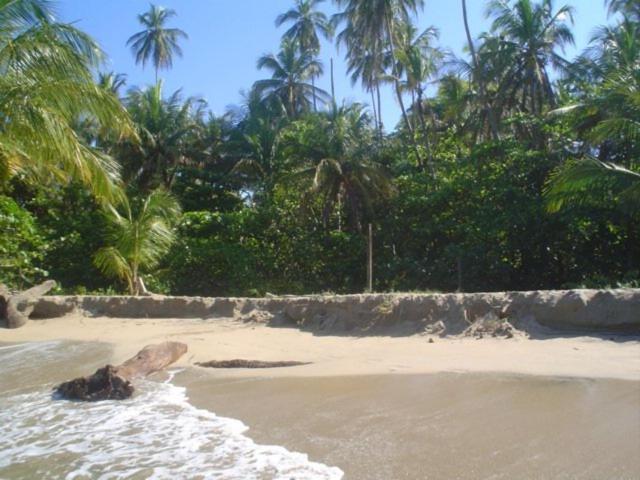 Sunrise Beach Hotel Puerto Viejo de Talamanca Exteriér fotografie