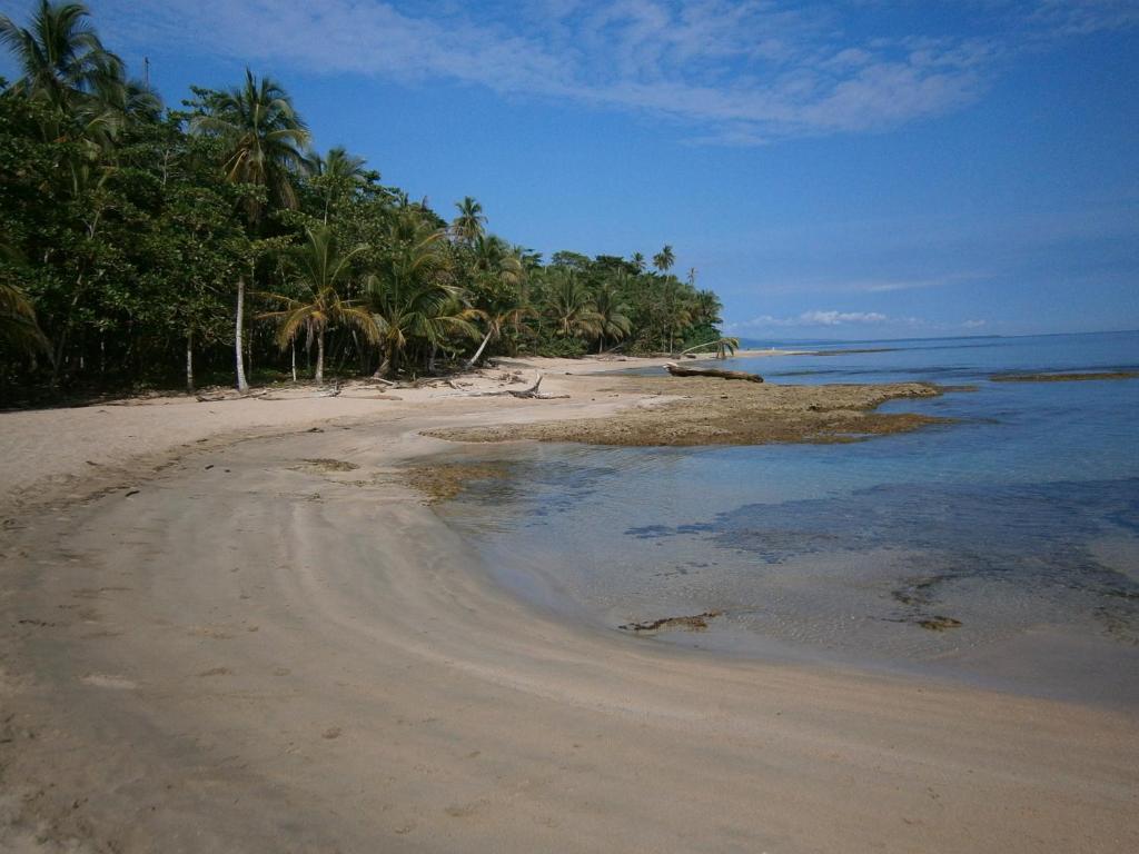Sunrise Beach Hotel Puerto Viejo de Talamanca Exteriér fotografie