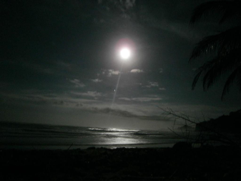 Sunrise Beach Hotel Puerto Viejo de Talamanca Exteriér fotografie