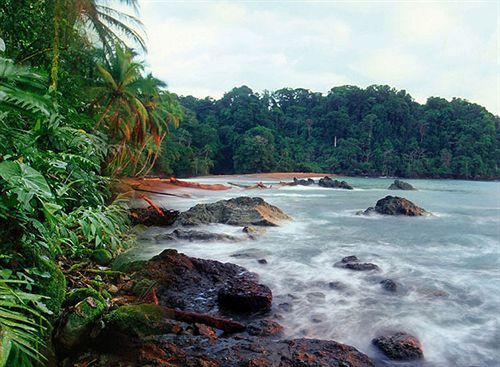 Sunrise Beach Hotel Puerto Viejo de Talamanca Exteriér fotografie