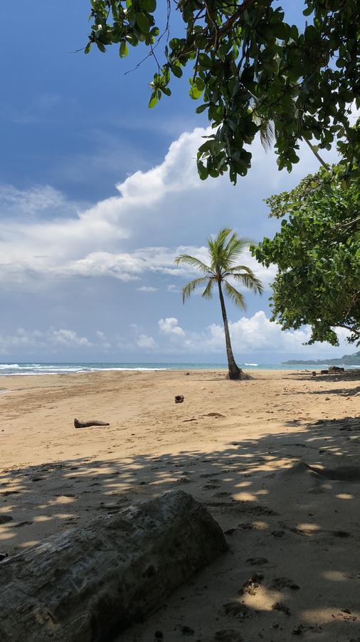 Sunrise Beach Hotel Puerto Viejo de Talamanca Exteriér fotografie